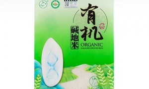 東北大米為啥這么好？